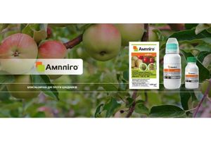 Инсектицид Амплиго: эффективная защита урожая от вредителей