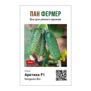 Арктика F1 - насіння огірка, 10 шт, NongWoo Bio (Пан Фермер) 51701 фото