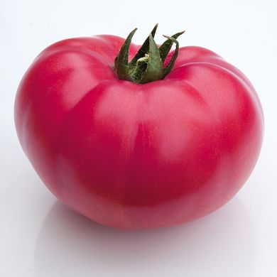 КС 3811 F1 - насіння томата, 1000 шт, Kitano 50342 фото