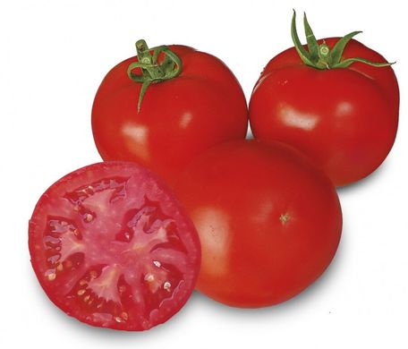 Песадо (1609) F1 - насіння томата, 250 шт, Spark Seeds 81757 фото