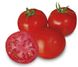 Песадо (1609) F1 - насіння томата, 250 шт, Spark Seeds 81757 фото 1