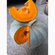 Сампсон F1 - насіння гарбуза, 500 шт, Enza Zaden 12101 фото 1
