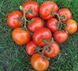 Нада F1 - насіння томата, 1000 шт, Esasem 90786 фото 1