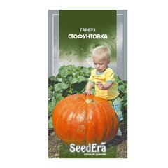 Стофунтовка - насіння гарбуза, 20 г, SeedEra 01239 фото