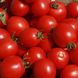 Солероссо F1 - насіння томата, 5000 шт, Nunhems 99382 фото 2