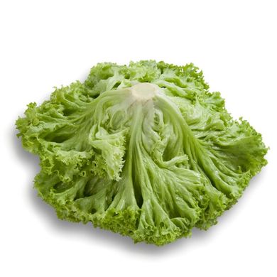 Локарно - насіння салату, 1000 шт, Rijk Zwaan 65435 фото