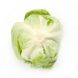 Аруша - насіння салату, 1000 шт (драже), Rijk Zwaan 1092513305 фото 2