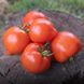 Пеконет F1 – насіння томату, 500 шт, Syngenta 28967 фото 1