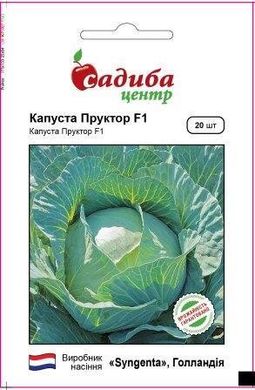 Пруктор F1 - семена капусты белокочанной, 20 шт, Syngenta (Садыба Центр) 923365594 фото