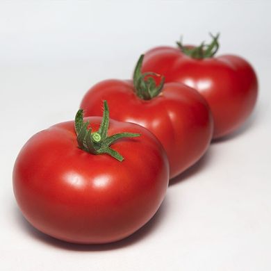 КС 301 F1 - насіння томата, 1000 шт, Kitano 50366 фото