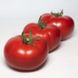КС 301 F1 - насіння томата, 1000 шт, Kitano 50366 фото 2