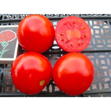 Солероссо F1 - насіння томата, 25 000 шт (драже), Nunhems 99384 фото