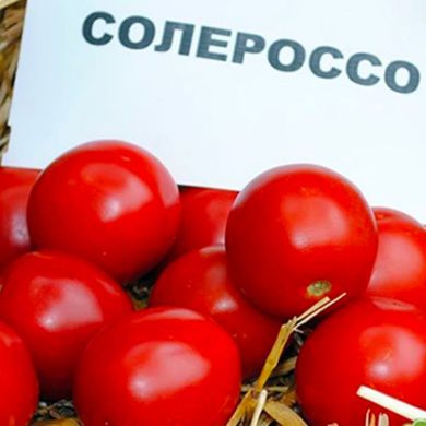 Солероссо F1 - насіння томата, 1000 шт, Nunhems 99381 фото