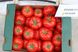 Оазис F1 - насіння томата, 1000 шт, Clause 84999 фото 1