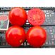 Солероссо F1 - насіння томата, 25 000 шт, Nunhems 99383 фото 9