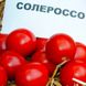 Солероссо F1 - насіння томату, 20 шт, Nunhems (SeedEra) 01725 фото 3
