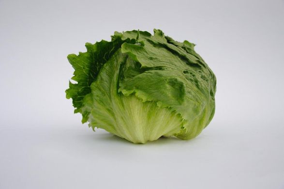 Руморс - насіння салату, 5000 шт, Bejo 69335 фото