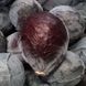 Розера F1 - семена капусты краснокочанной, 2500 шт, Hazera 31700 фото 2