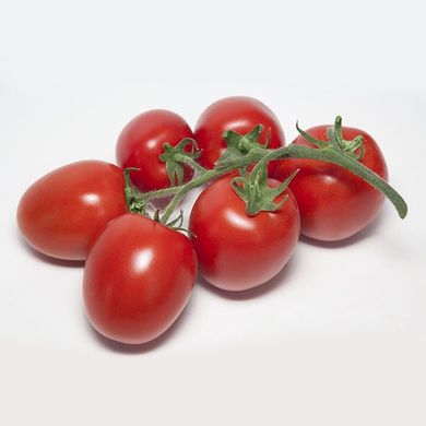 Банті F1 (КС 3819 F1) - насіння томата, 1000 шт, Kitano 50372 фото