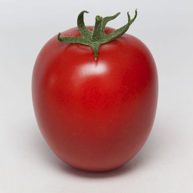 Банті F1 (КС 3819 F1) - насіння томата, 1000 шт, Kitano 50372 фото