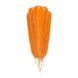 Морква Трафорд F1, 1 000 000 насінин (1.6-1.8), Rijk Zwaan 1091399115 фото 1