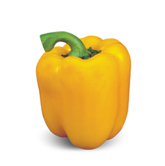Герардо F1 - насіння солодкого перцю, 500 шт, Hazera 79435 фото
