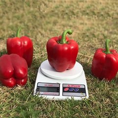 Крімсон Кінг F1 - насіння солодкого перцю, 250 шт, Hazera 72300 фото