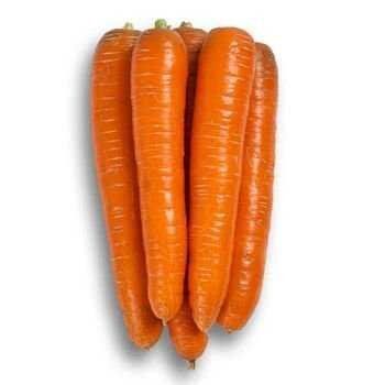 Морква Морелія F1, 25 000 насінин (1.6-1.8), Rijk Zwaan 93245 фото