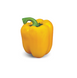 Герардо F1 - насіння солодкого перцю, 500 шт, Hazera 79435 фото 3