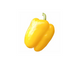 Герардо F1 - насіння солодкого перцю, 500 шт, Hazera 79435 фото 2
