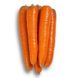 Морква Морелія F1, 25 000 насінин (1.6-1.8), Rijk Zwaan 93245 фото 1