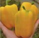 Герардо F1 - насіння солодкого перцю, 500 шт, Hazera 79435 фото 5