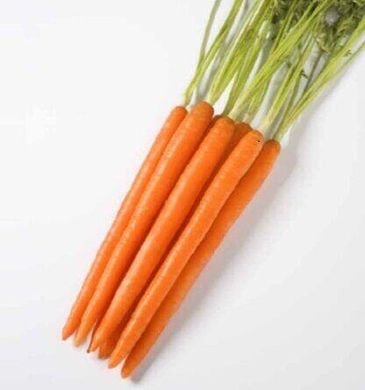 Ханіснекс F1 - насіння моркви, 100 000 шт (1.8 - 2.0), Nunhems 43512 фото