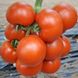 Чероки F1 - семена томата, 500 шт, Esasem 95189 фото 1