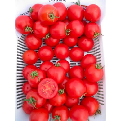 Шаста F1 - насіння томата, 1000 шт, Lark Seeds 03318 фото