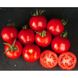 Шаста F1 - насіння томата, 1000 шт, Lark Seeds 03318 фото 1