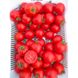 Шаста F1 - семена томата, 1000 шт, Lark Seeds 03318 фото 9
