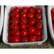 Шаста F1 - насіння томата, 10 000 шт, Lark Seeds 03319 фото 3