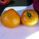 Світ Сан F1 - насіння томата, 2500 шт, Spark Seeds 89200 фото 4