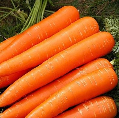 Апперкат F1 - семена моркови, 100 000 шт (1.6 - 1.8), Nunhems 49172 фото