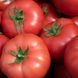 Мамстон F1 - насіння томата, 500 шт, Syngenta 42214 фото 5