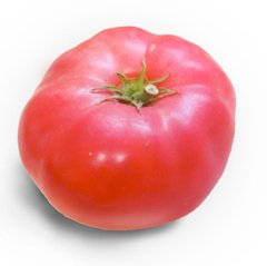 Пінк Світнес F1 - насіння томата, 500 шт, Spark Seeds 03334 фото