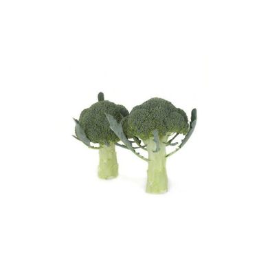 Орантес F1 - насіння капусти броколі, 2500 шт (калібр), Rijk Zwaan 91890 фото