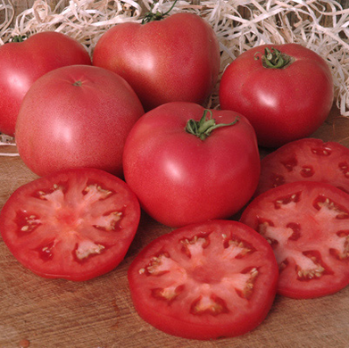 Фенда F1 - насіння томата, 250 шт, Clause 66126 фото