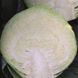 Раменос F1 - семена капусты белокочанной, 2500 шт, Hazera 37149 фото 1