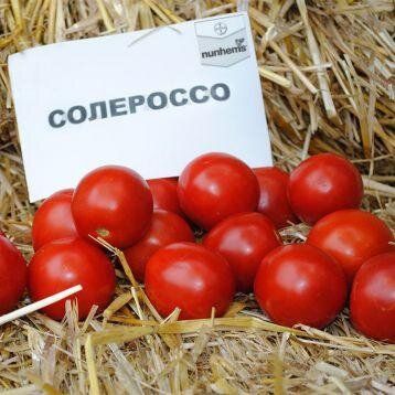 Солероссо F1 - семена томата, 25 000 шт, Nunhems 99383 фото