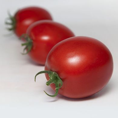 Банти F1 (КС 3819 F1) - семена томата, 500 шт, Kitano 50374 фото