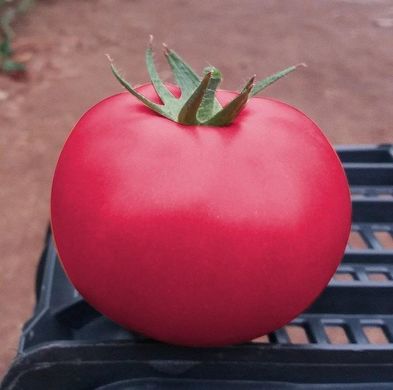 Пінк Кристал F1 - насіння томата, 250 шт, Clause 84995 фото