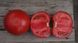 Тайлер F1 - насіння томата, 100 шт, Kitano 50381 фото 2