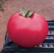 Пінк Кристал F1 - насіння томата, 250 шт, Clause 84995 фото 1